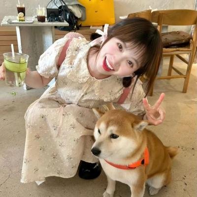 狂犬末日