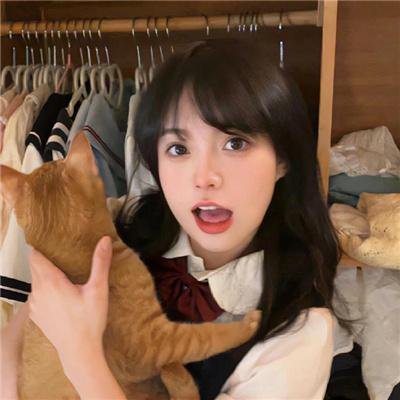 血谜拼图